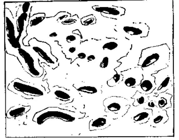 盤(pán)點(diǎn)各類地質(zhì)地貌類型-地?zé)豳Y源開(kāi)發(fā)-地大熱能