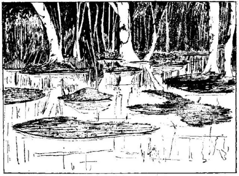 盤(pán)點(diǎn)各類地質(zhì)地貌類型-地?zé)豳Y源開(kāi)發(fā)-地大熱能